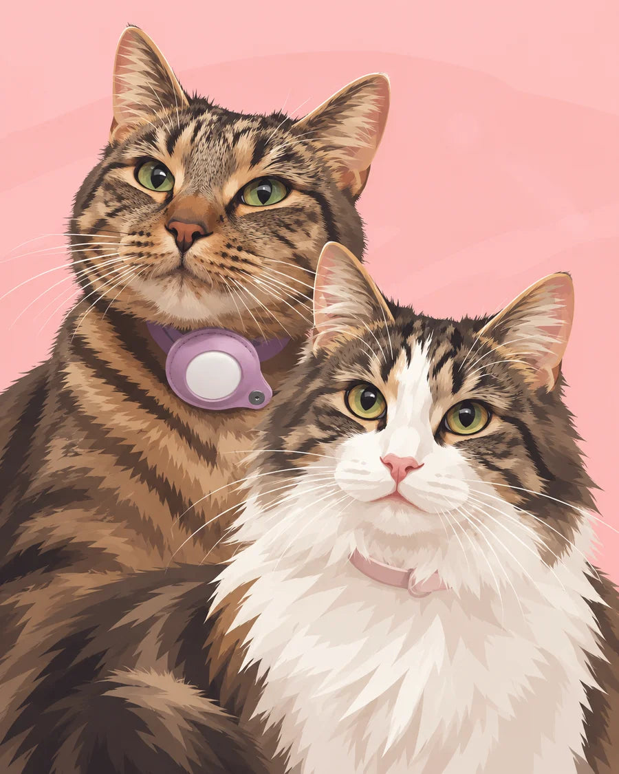 Blush Companions portrait style example